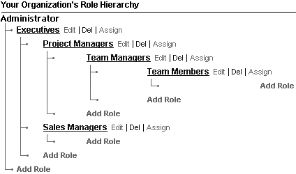 organizational role hirearchy | Cloud crm